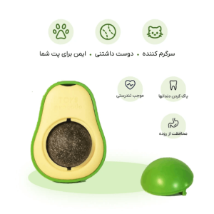 تشویقی دندانی گربه مدل آبنبات کت نیپ دار