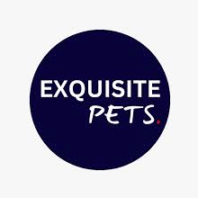 exquisite pet