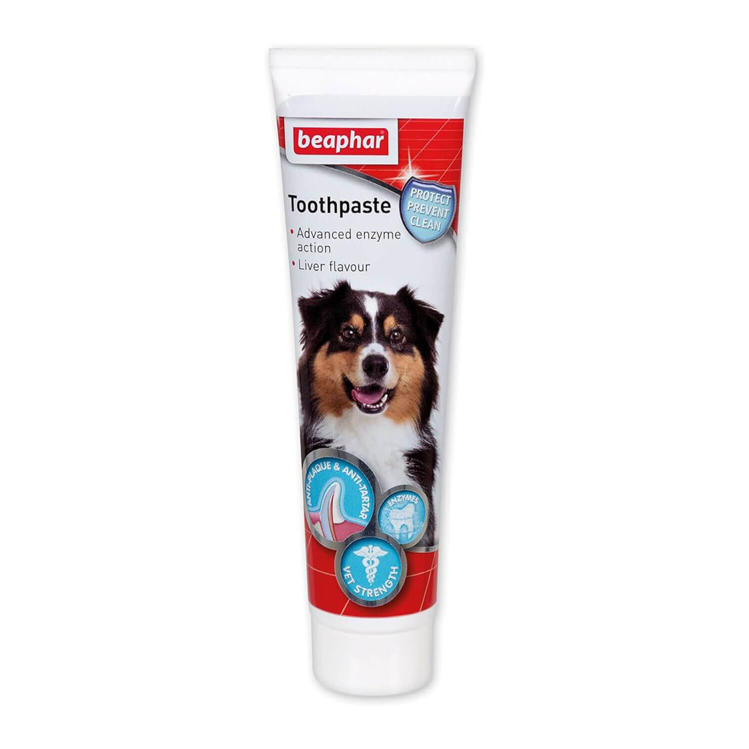 thooth-paste-(1) خمیر دندان بیفار مخصوص سگ و گربه وزن 100 گرم | Beaphar Liver Toothpaste DOG/Cat 100g
